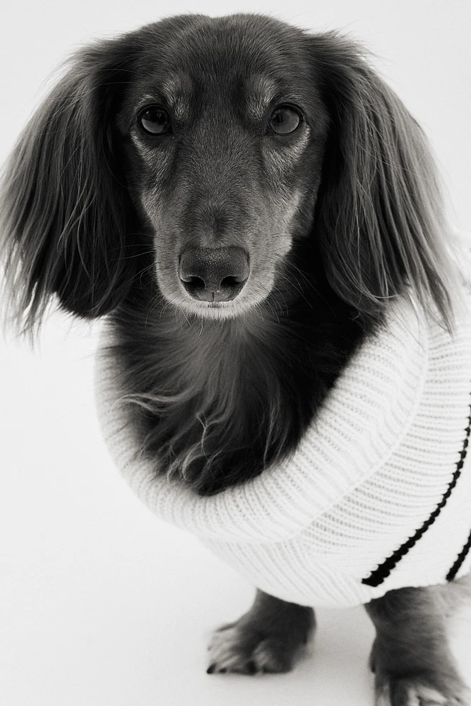 Rib-knit Dog Sweater