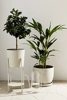 Large Plant Pot on Pedestal