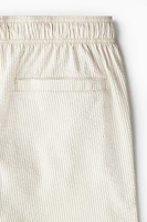 Seersucker Swim Shorts