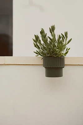 Small Hanging Plant Pot