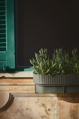 Hanging Planter Box