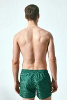 Patterned Swim Shorts