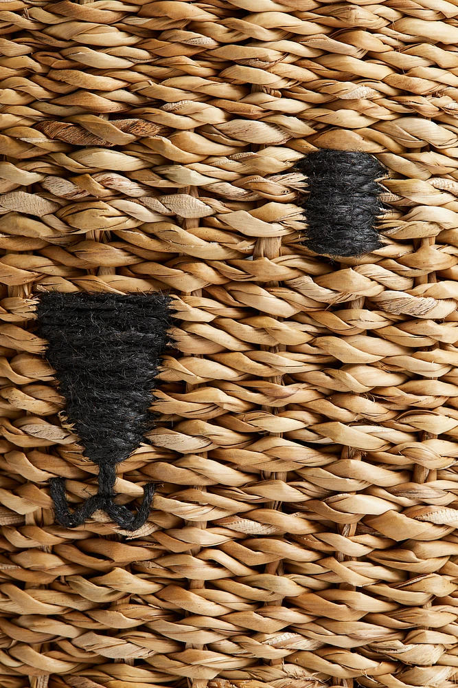 Storage Basket with Lid