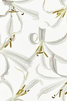 Shimmery Body Oil
