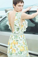 Ruffle-Trimmed Dress