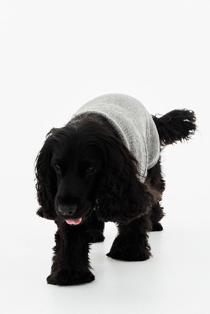 Fine-Knit Dog Sweater
