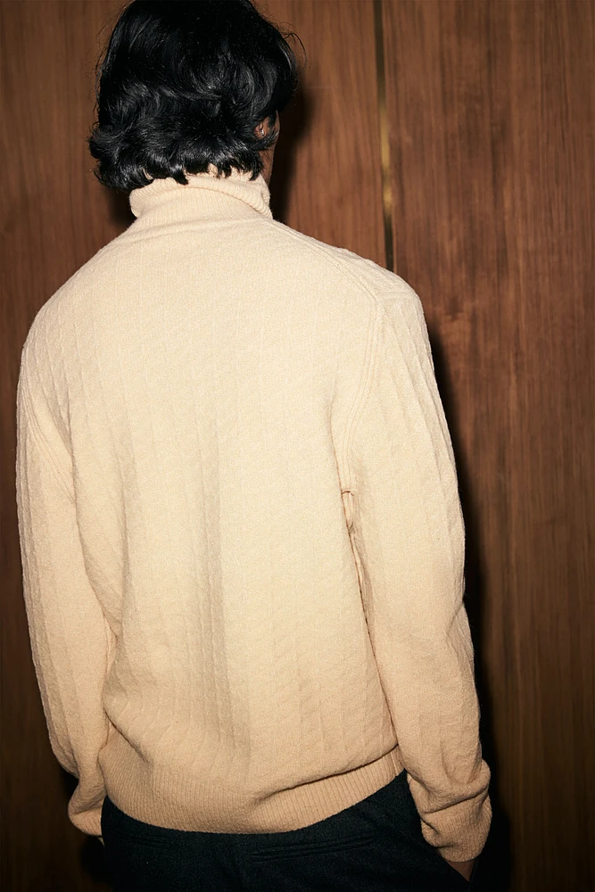 Regular Fit Turtleneck Sweater