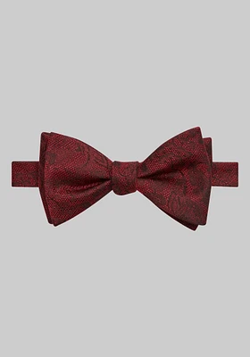 Jos. A. Bank Fortune Floral Self-Tie Bow Tie
