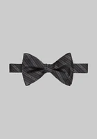 Jos. A. Bank Metallic Variegated Stripe Pre-Tied Bow Tie