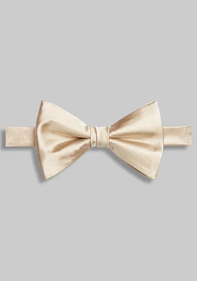 Jos. A. Bank Solid Pre-Tied Big Bow Tie