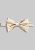 Jos. A. Bank Solid Pre-Tied Big Bow Tie