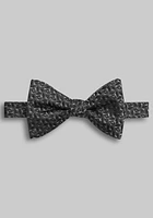 Jos. A. Bank Micro Leaf Pre-Tied Big Bow Tie