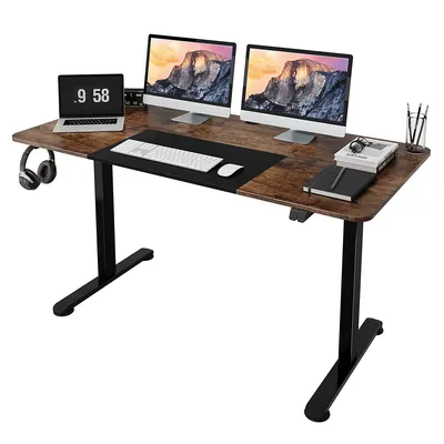 55'' Electric Standing Desk Height Adjustable Home Office Table W/hook