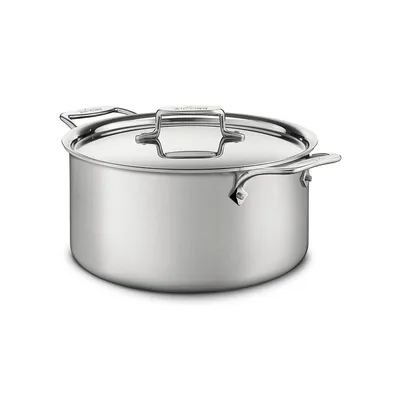 D5 Brushed Stockpot with Lid