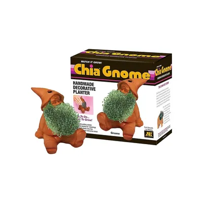 Gnome Terracotta Decorative Chia Pet Planter