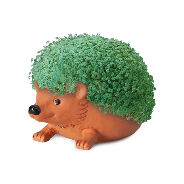 Sonic the Hedgehog Chia Pet®