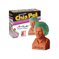 Burt Reynolds Terracotta Decorative Chia Pet Planter