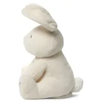 Flora the Bunny Animated Plush Stuffed Animal