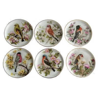 Porcelain Coaster Birds Set Of 6