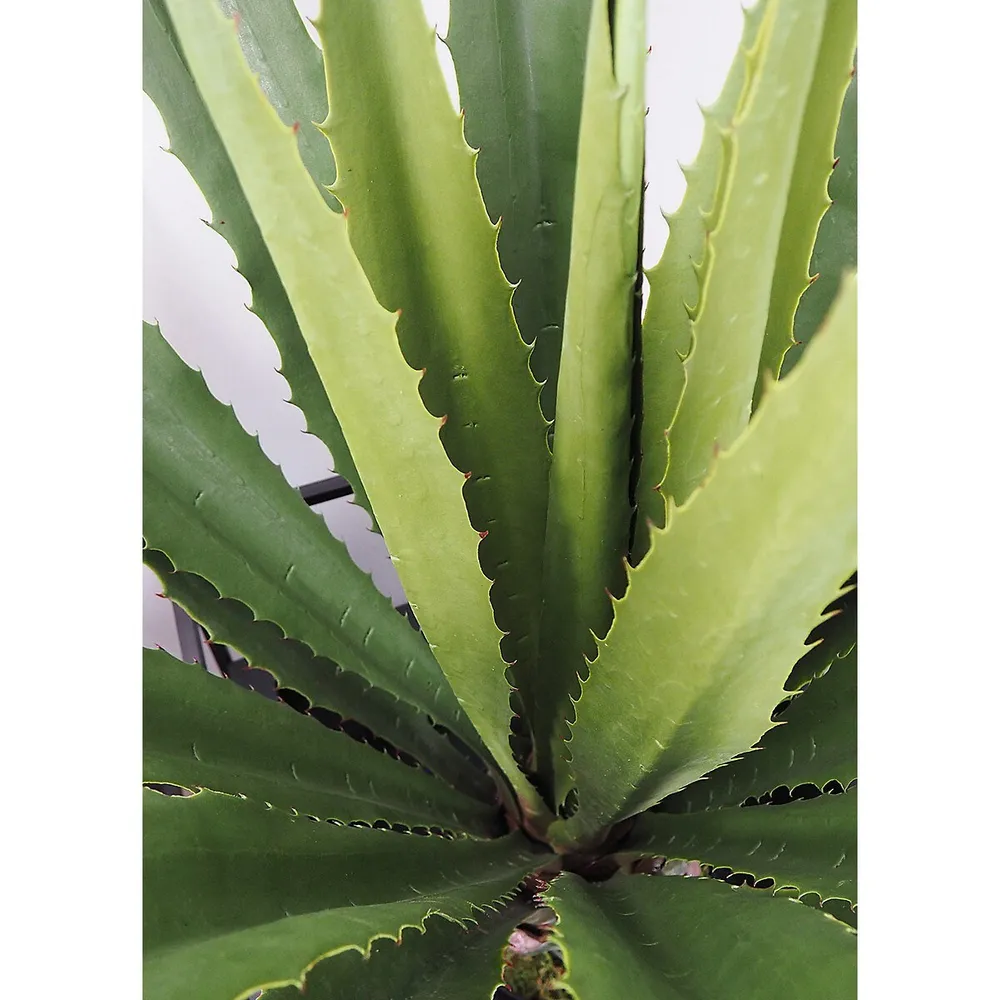 Faux Botanical Giant Agave In Green In. Height