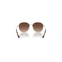 C7996 Polarized Sunglasses