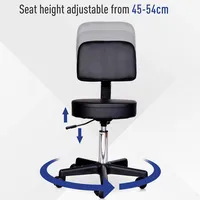 Swivel Rolling Salon Stool With Back Support