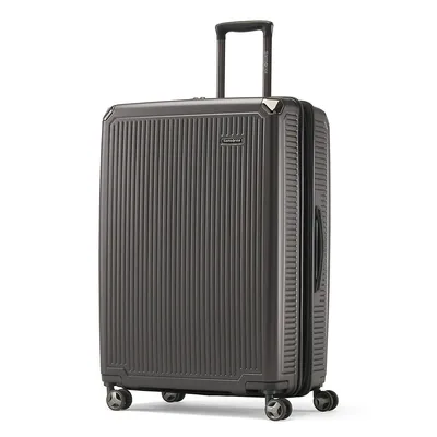 Icon 30-Inch Spinner Suitcase
