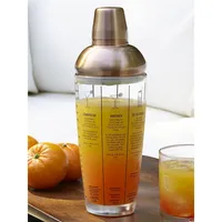 Glass & Stainless Steel Recipe Cocktail Shaker