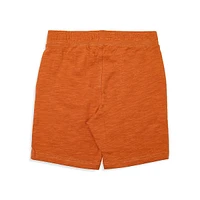 Little Boy's 2-Piece T-Shirt & Knit Shorts Set