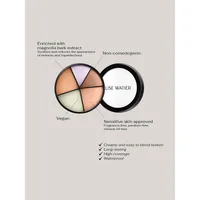 ​Portfolio Professional Correctors 4-in-1