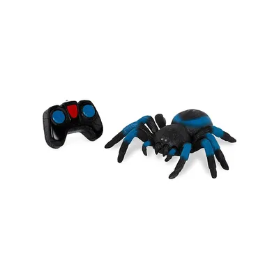 Remote Control Spider