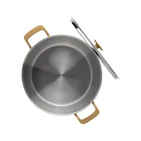 Tri-Ply Stainless Steel 11.5L Stock Pot with Lid