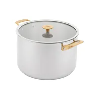 Tri-Ply Stainless Steel 11.5L Stock Pot with Lid