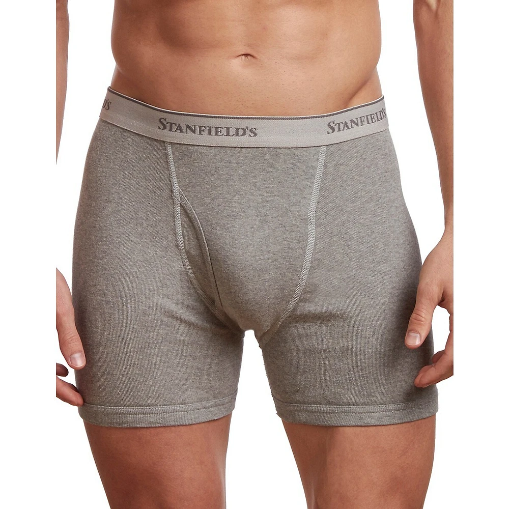 Stanfield's Big and Tall 2-Pack Cotton Boxer Briefs - Mens