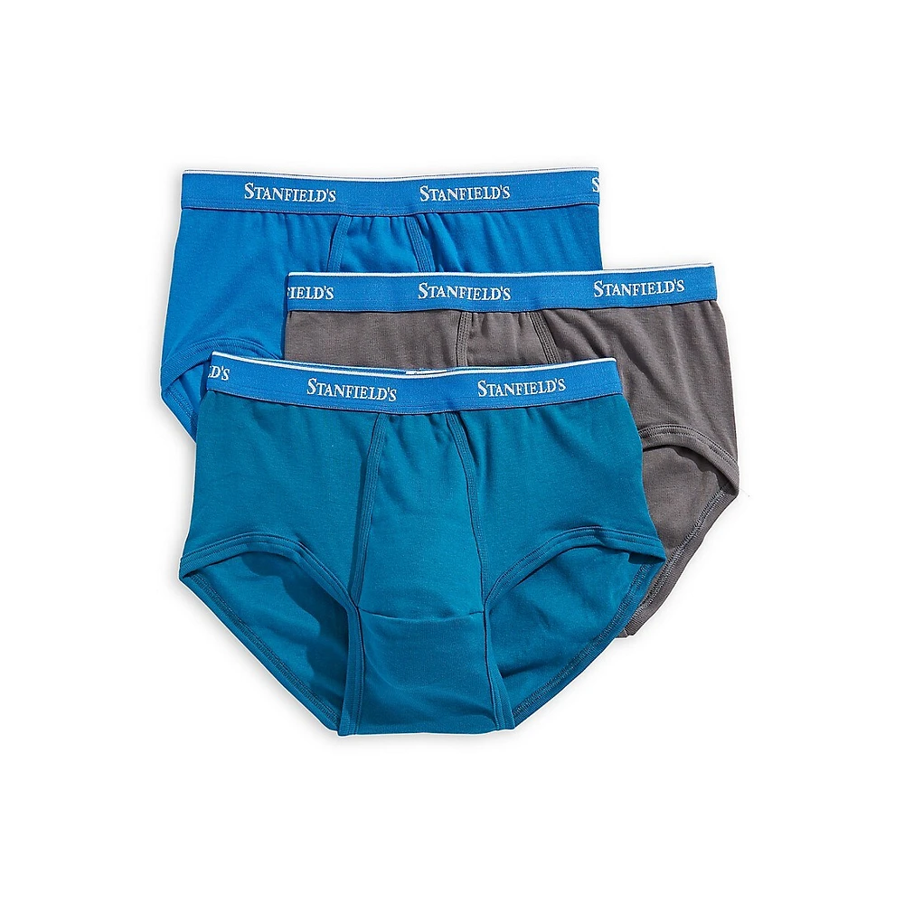 Stanfield's Premium Briefs