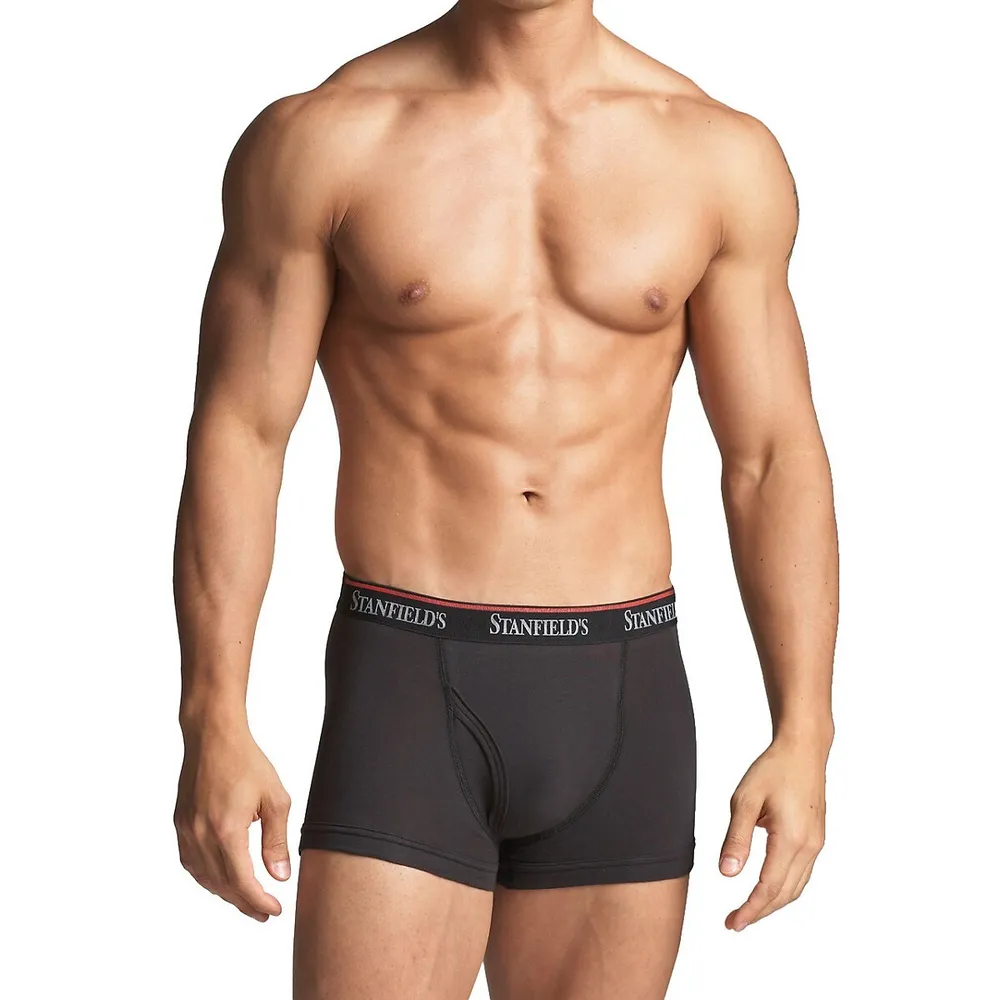 Stanfield's Men's 2 Pack Premium Cotton Boxer Briefs Underwear 