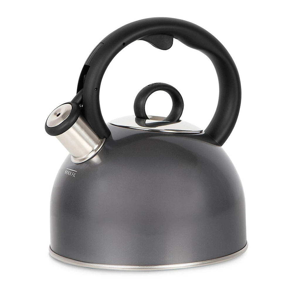 Style Collection 2-Quart Stovetop Kettle