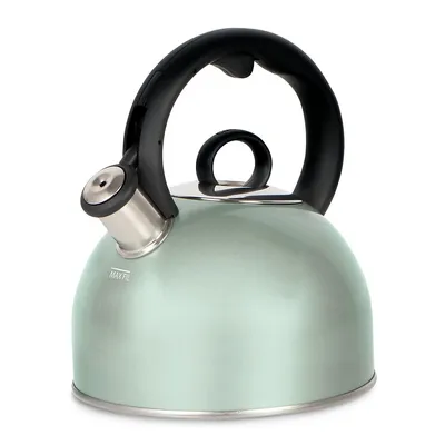 Style Collection 2-Quart Stovetop Kettle