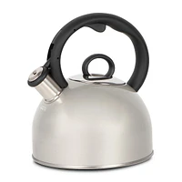 Style Collection 2-Quart Stovetop Kettle