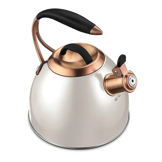 Moda Stainless Steel Tea Kettle with removable Tea Herb Infuser