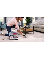 Cleanslate Pet Carpet and Upholstery Spot Cleaner