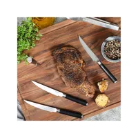 Stainless Steel 4-Piece Steak Knives Set