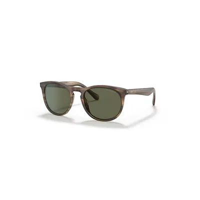 Ar8149 Polarized Sunglasses