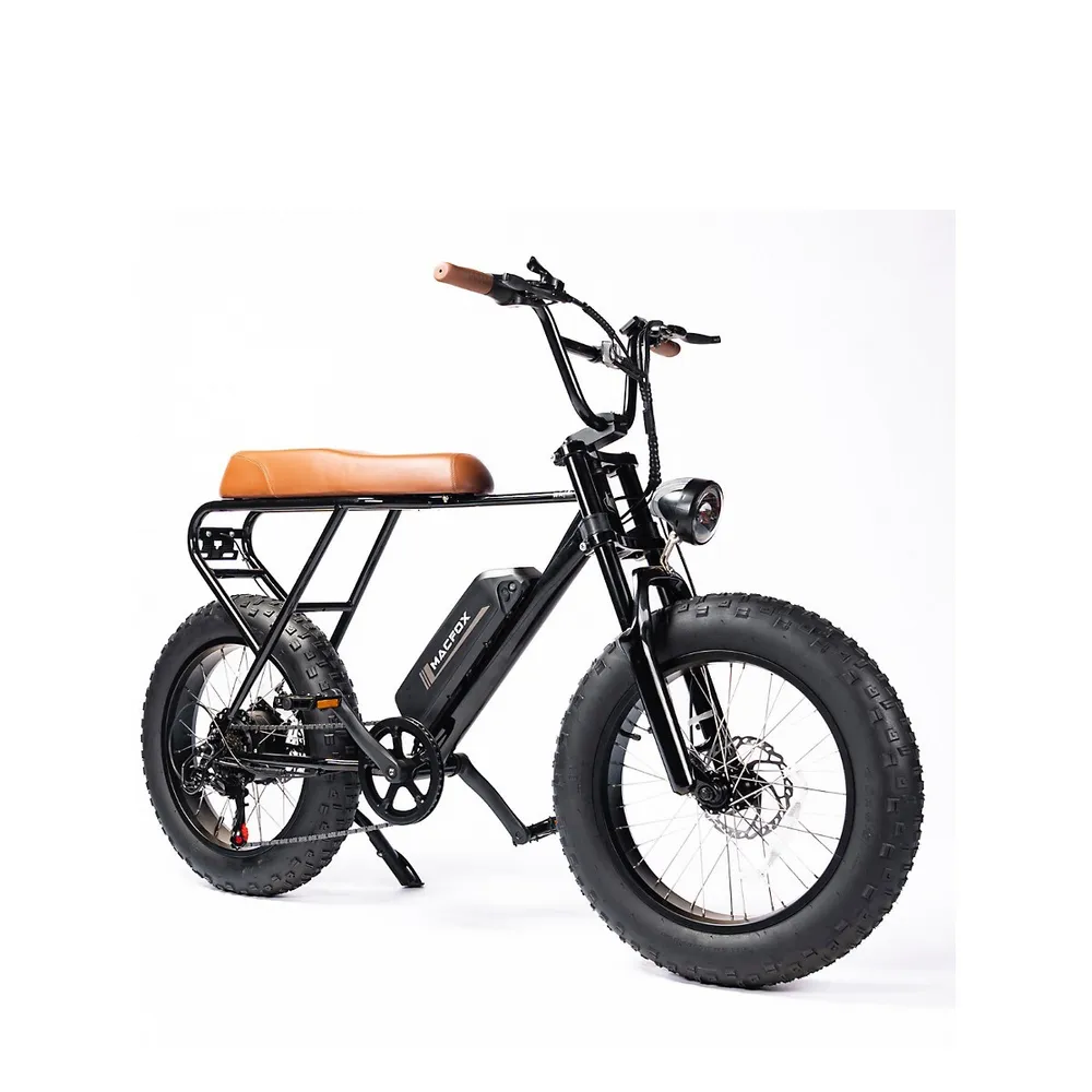 Mountain Ebike Torque Sensor Shimano Electric Adulto Bicicleta Potente 750W  48V