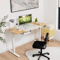 55"x28" Electric Standing Desk Adjustable Sit To Stand Table W/usb Port Whitenatural