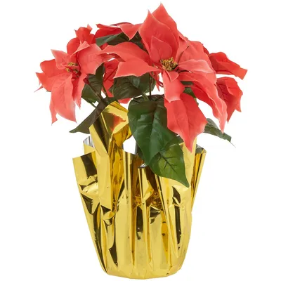 14.5" Dark Pink Artificial Christmas Poinsettia With Gold Wrapped Base