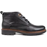 Wind Chukka Boots