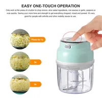 Electric Food Chopper 2 Cups with 2 Blade,Wireless - Green