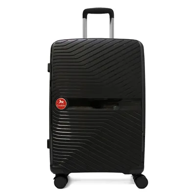 Colorful Check-in Hardside 24-inch Luggage