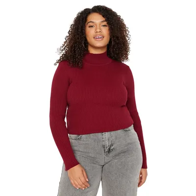 Women Plus Regular Fit Basic High Neck Knitwear Sweater